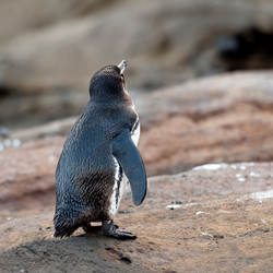 Similar image 8018022