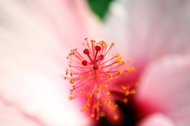 Similar image 8018029