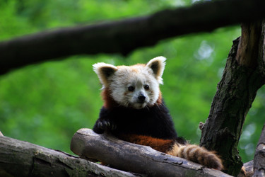 Similar image 8018031