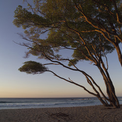 Similar image 8018033