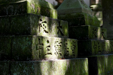 Similar image 8018042