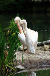 Similar image 8018044