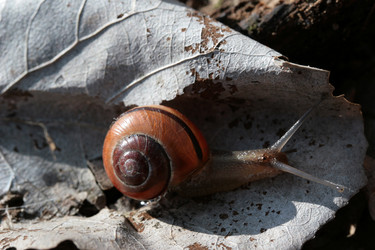 Similar image 8018049