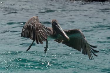 Similar image 8018071