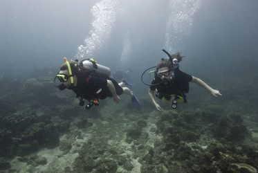 Similar image 8018081