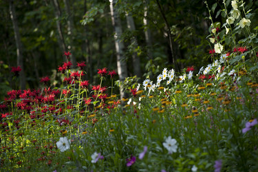 Similar image 8018099