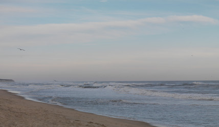 Similar image 8018103