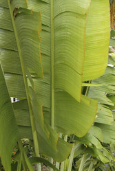 Similar image 8018118