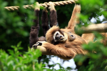 Similar image 8018119