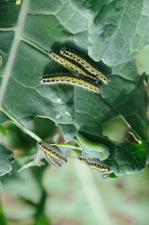 Similar image 8018121