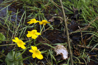 Similar image 8018130