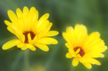 Similar image 8018131