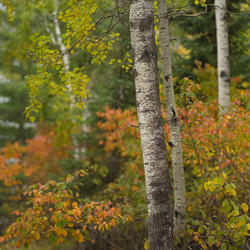 Similar image 8018138