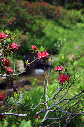 Similar image 8018139