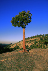 Similar image 8018146