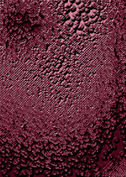 Similar image 8018162