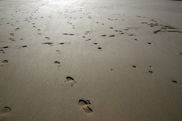 Similar image 8018165