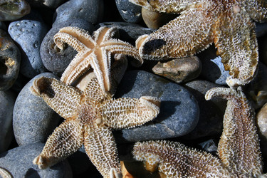 Similar image 8018167