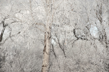 Similar image 8018172