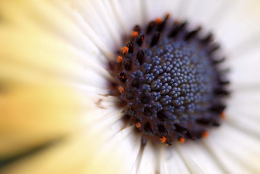 Similar image 8018174