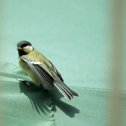 Similar image 8018185