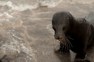 Similar image 8018187