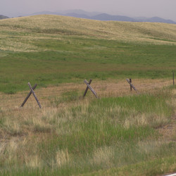 Similar image 8018190