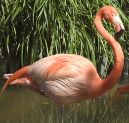 Similar image 8018192