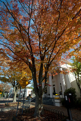 Similar image 8018197