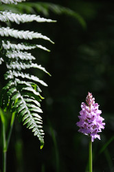 Similar image 8018205