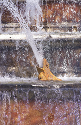 Similar image 8018210