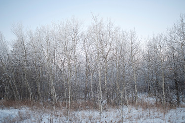 Similar image 8018233