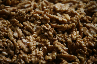 Similar image 8018237