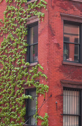 Similar image 8018257