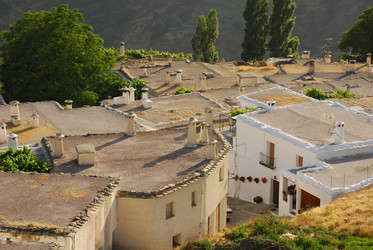 Similar image 8018258