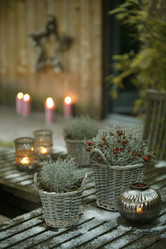 Similar image 8018271