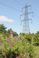 Similar image 8018277