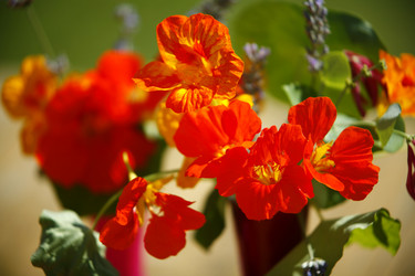 Similar image 8018279