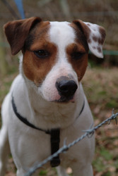 Similar image 8018281