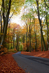 Similar image 8018283