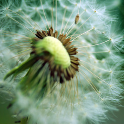 Similar image 8018286