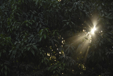 Similar image 8018291