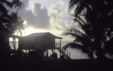 Similar image 8018294