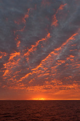 Similar image 8018300