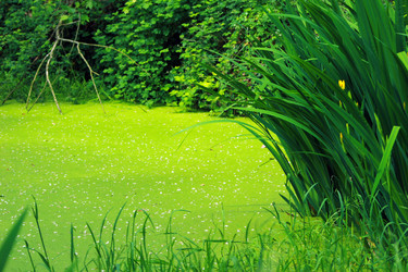 Similar image 8018302