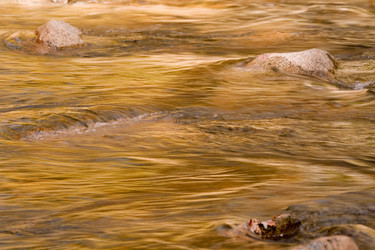 Similar image 8018309