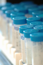 Similar image 8018317