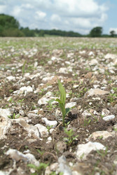 Similar image 8018328