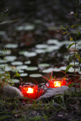 Similar image 8018341