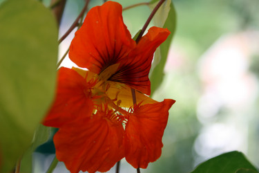 Similar image 8018348